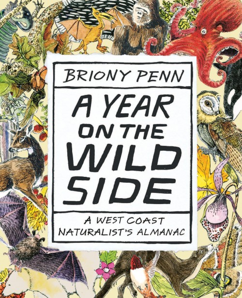 a-year-on-the-wild-side