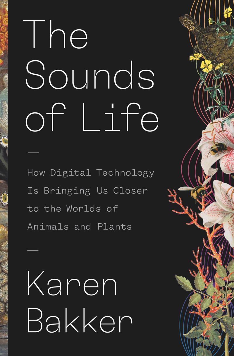 The Sounds of Life: How Digital Technology Is Bringing Us Closer to the Worlds of Animals and Plants