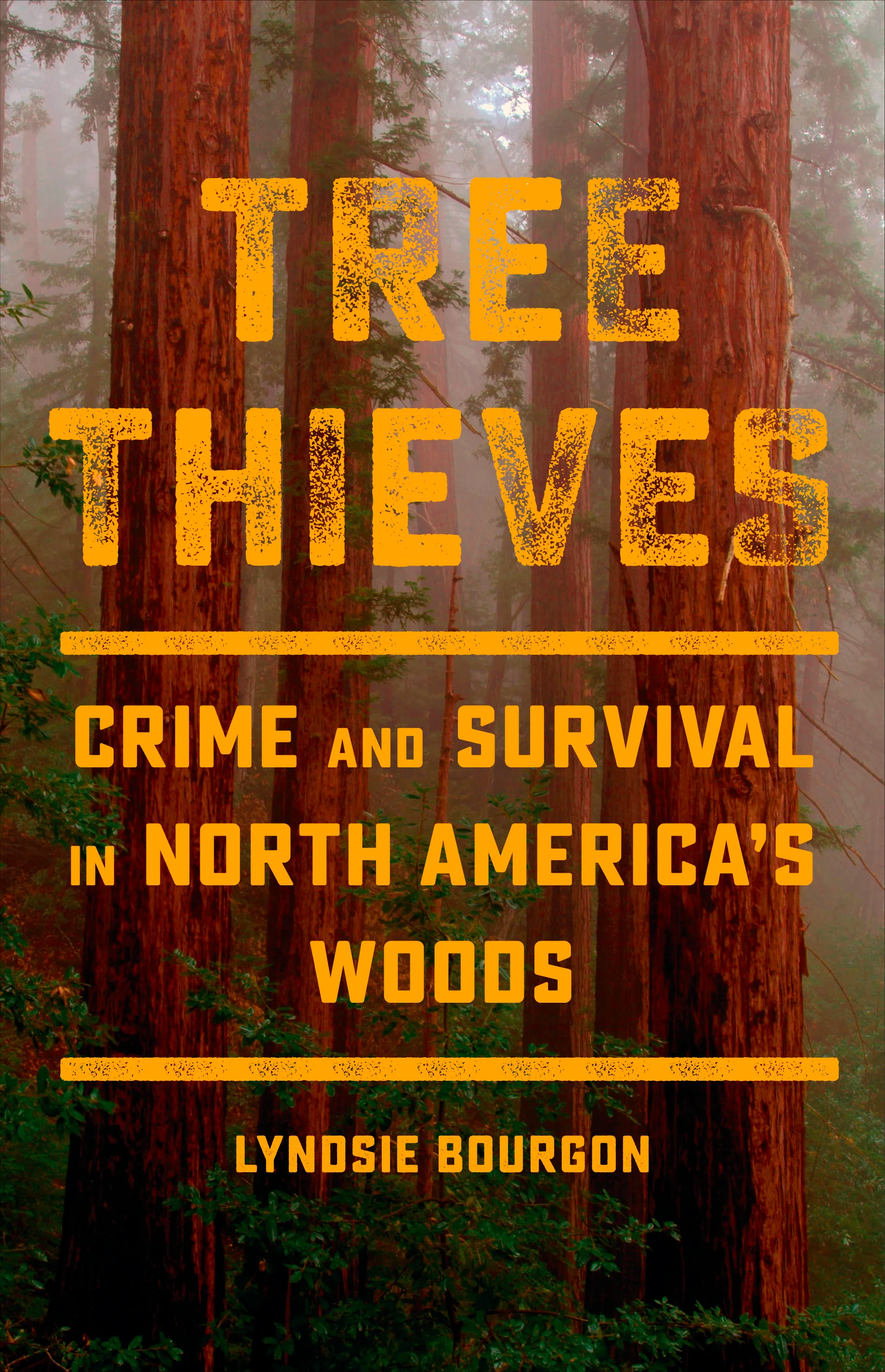 Tree Thieves: Crime and Survival in North America’s Woods