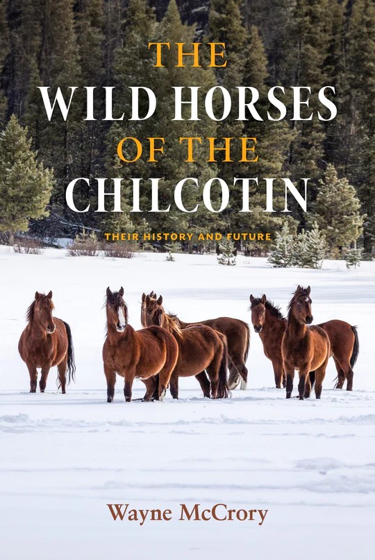The Wild Horses of the Chilcotin: Their History and Future